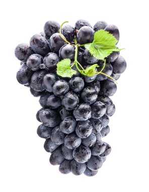 Olgun kara üzüm yaprakları ile