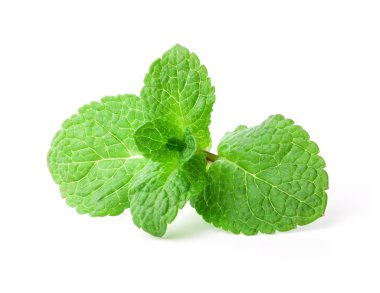 Beyaz arkaplanda izole edilmiş taze nane.