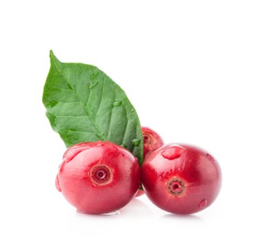 Kızıl kahve çekirdekleri