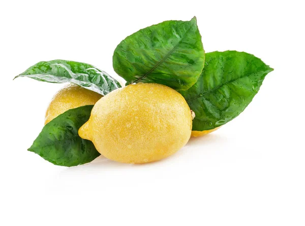 Limoni — Foto Stock