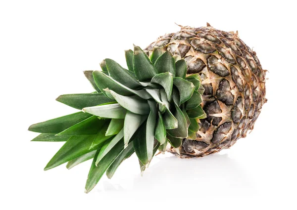 Pineapple fruits — Stock Photo, Image