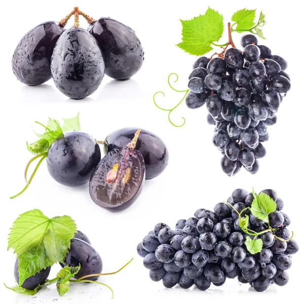 Ripe dark grapes with leaves — Stock Photo, Image