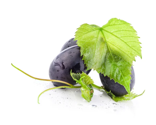 Uvas maduras oscuras con hojas —  Fotos de Stock