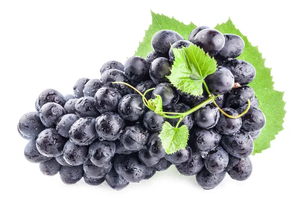 Ripe dark grapes with leaves — Stock Photo, Image