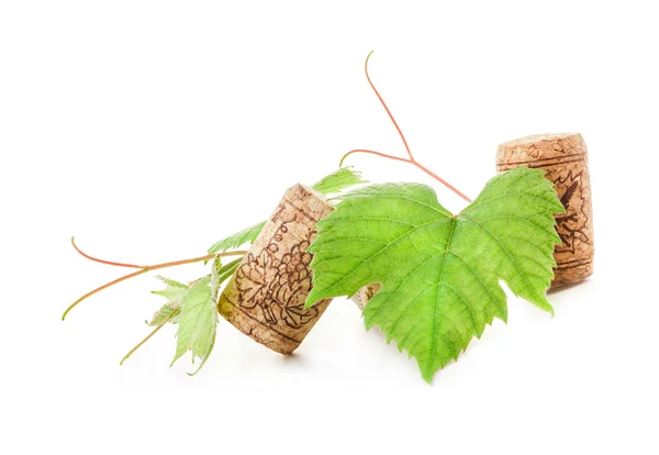 Wine cork — Stock Photo, Image