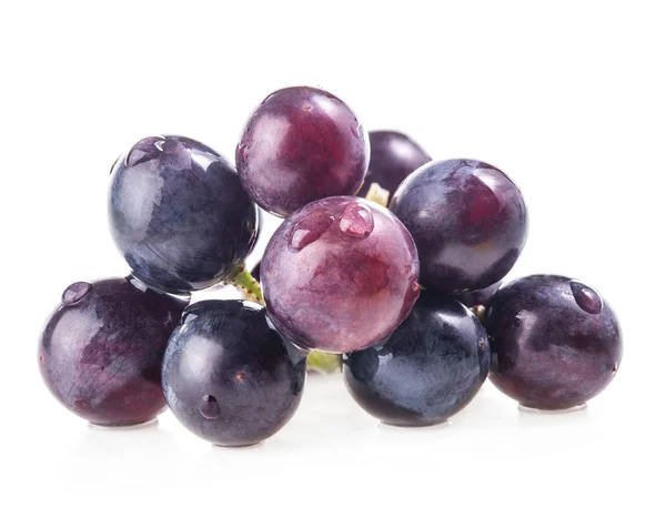Rijpe druiven berry — Stockfoto