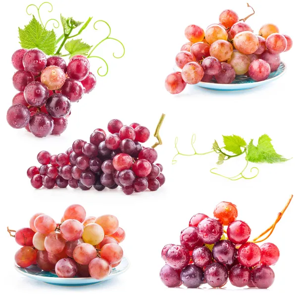 Coleções de uva vermelha — Fotografia de Stock