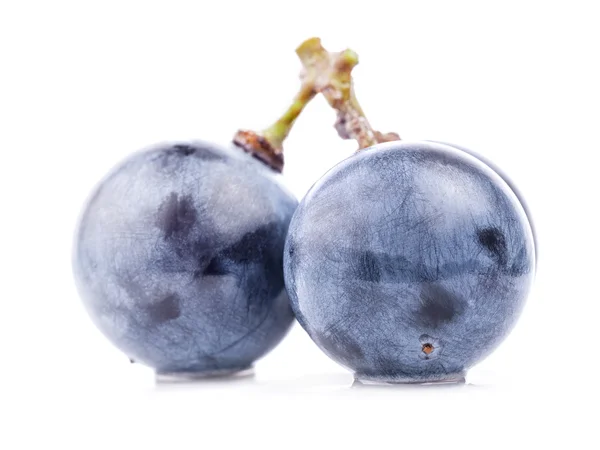 Bagas de uvas maduras — Fotografia de Stock