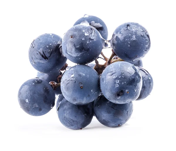 Bayas de uva maduras — Foto de Stock