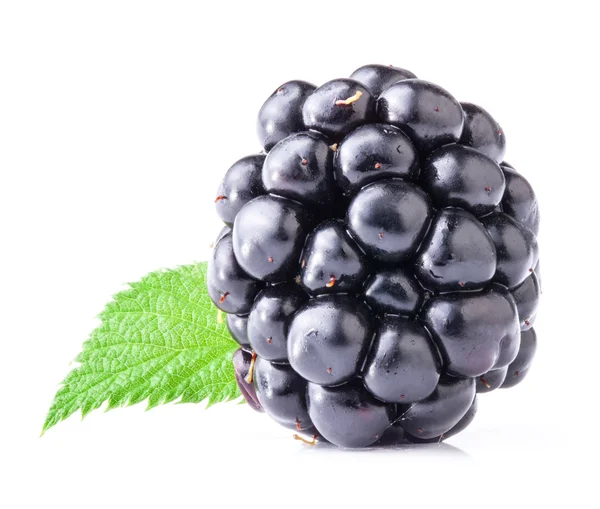 Blackberry with leaf — Stock Photo, Image