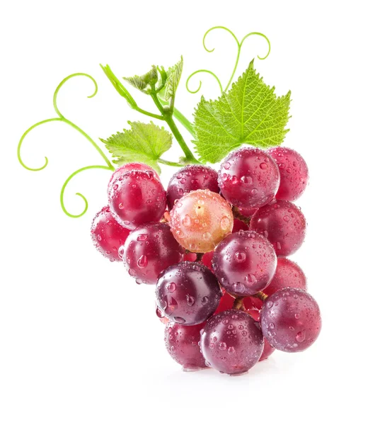 Uva rossa con gocce d'acqua — Foto Stock