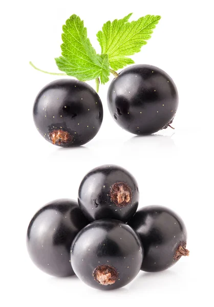 Siyah frenk üzümü — Stok fotoğraf