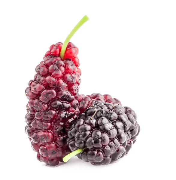 Mulberry — Stock Photo, Image