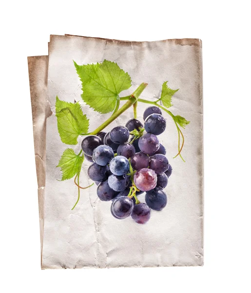 Druiven op oud papier — Stockfoto