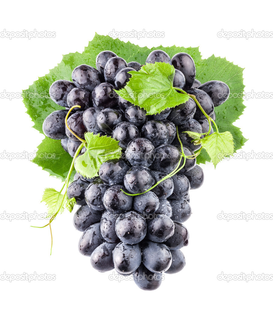 Ripe dark grapes with leaves