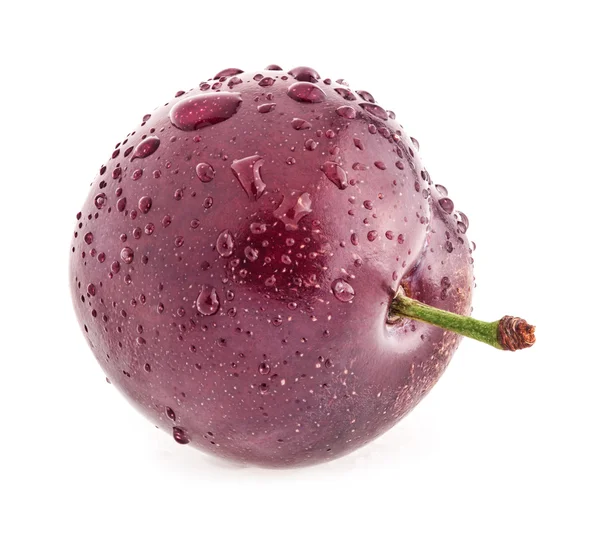 Plum — Stock Photo, Image