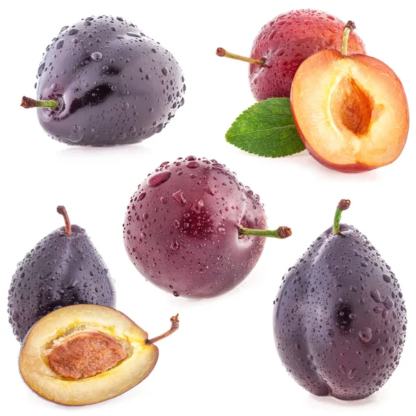 Plums — Stock Photo, Image