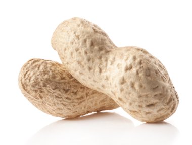 Fıstık