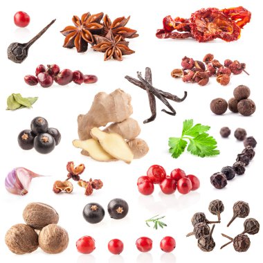 baharat koleksiyonları