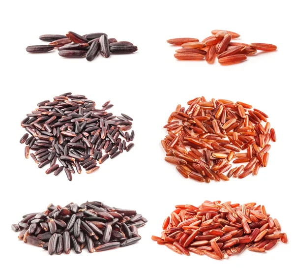 黒と赤の野生稲のコレクション — ストック写真