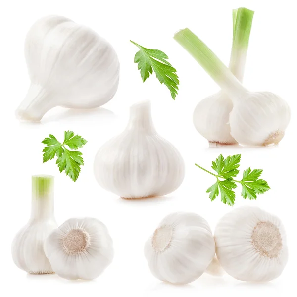 Collections of Garlic — Stock Photo, Image