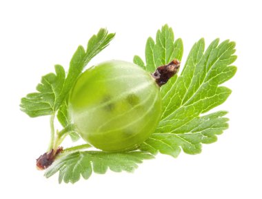 yaprak yeşil bektaşi üzümü