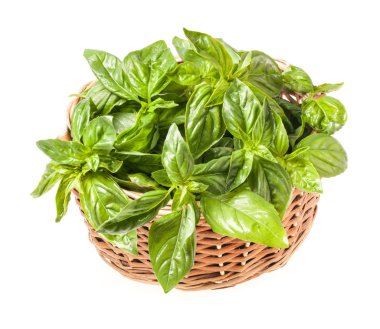 sepet içinde taze fesleğen