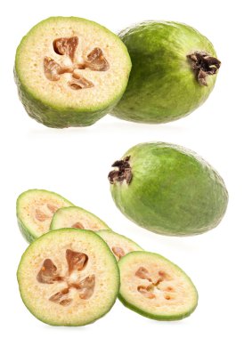 Feijoa (kaymak ağacı)