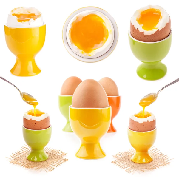 Light boiled egg in egg cup — Stock Photo, Image