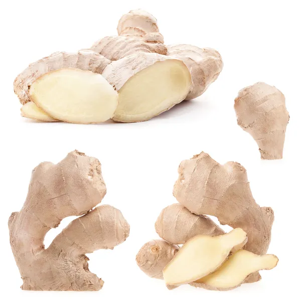 Collection Ginger root — Stock Photo, Image