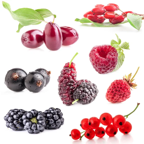 Collections of berry — Stock Photo, Image