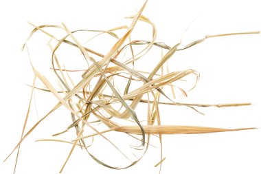 Hay on white background clipart