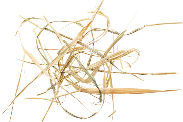 Hay on white background