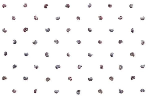 Poppy Seeds Isolated White Seamless Pattern Extreme Close — Stock Photo, Image