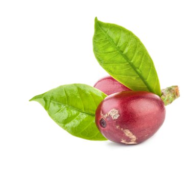 Beyaz arka plan üzerinde izole kırmızı kahve çekirdekleri