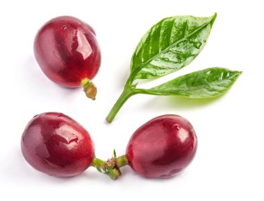 Beyaz arka plan üzerinde izole kırmızı kahve çekirdekleri