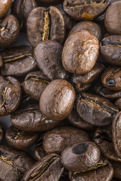 Coffee Beans — Stock Photo, Image