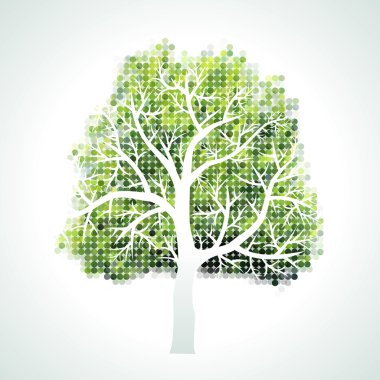 ağaç dalları ve yaprakları