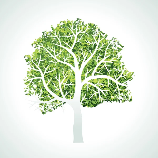 Árbol con ramas y hojas — Vector de stock