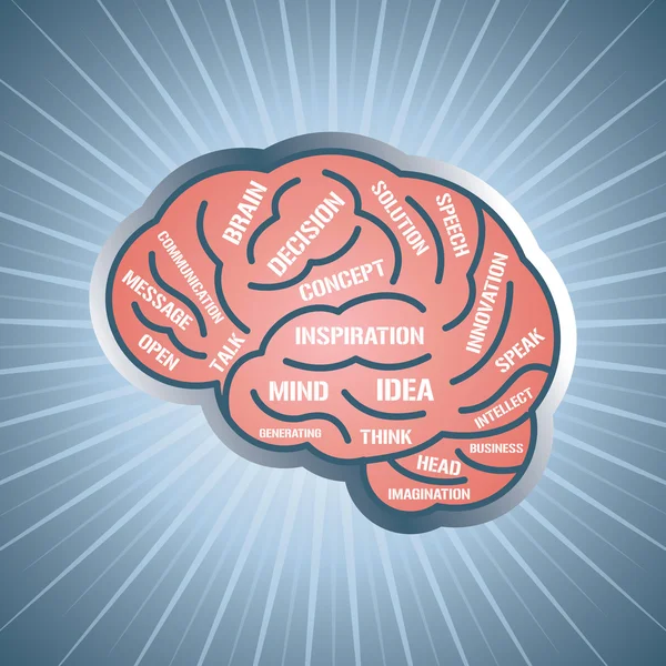 Menschliches Gehirn — Stockvektor