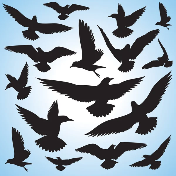 Flock of flying birds and sky — Stock Vector