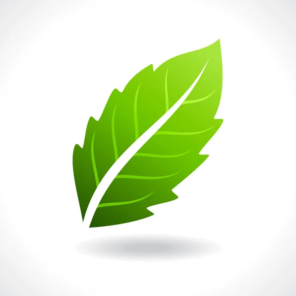 Licencia verde fresca — Vector de stock