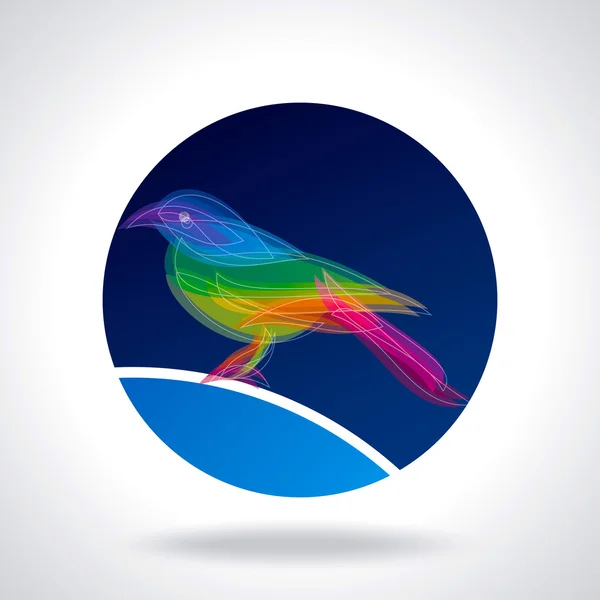Colored bird — Stock Vector