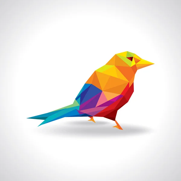Colorful bird illustration — Stock Vector