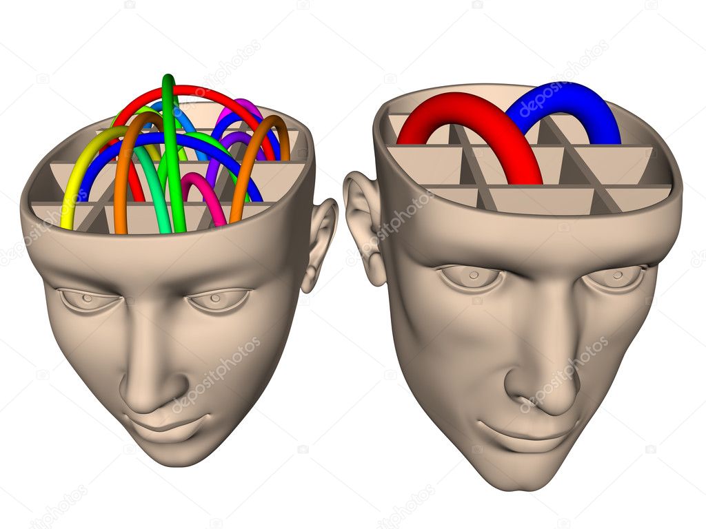 Diferencia Entre El Cerebro De La Mujer Y El Hombre Fotografía De