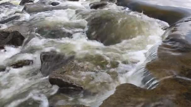 नदीत पाणी वाहते — स्टॉक व्हिडिओ