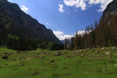 Picturesque  valley near Konigsee lake
