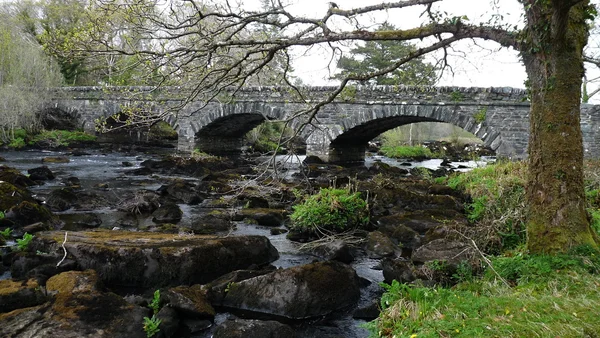 Irland - Bridge — Stockfoto