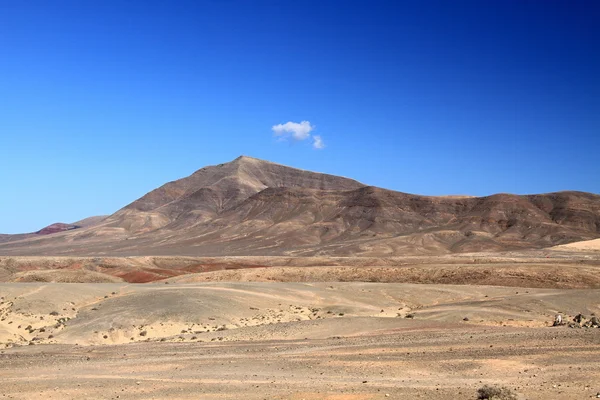 Lanzarote - Papagayo