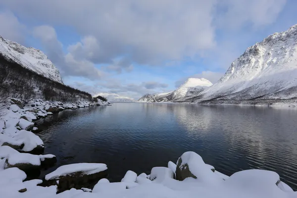 Зима в Норвегии — стоковое фото